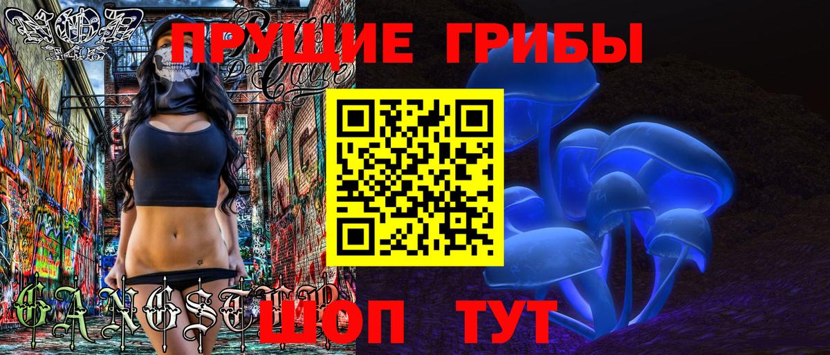 Галлюциногенные грибы Psilocybe  Вход с VPN  Котельники 